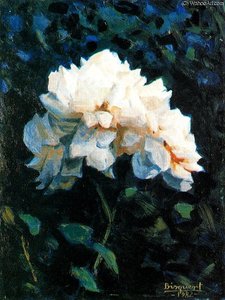Untitled (380)