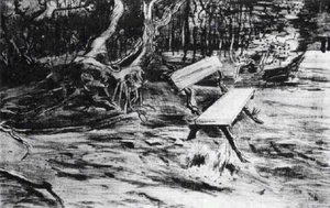 Bench In A Wood — Vincent Willem Van Gogh