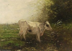 A Cow At Pasture
