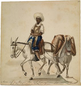 [Muleteer]