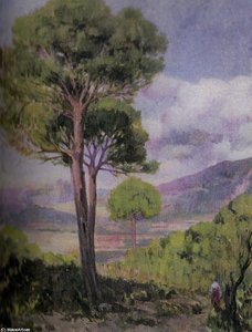Paisaje con arbol