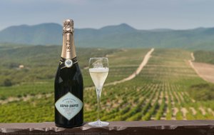 Abrau-durso Sparkling Wine — Abrau-durso Winery