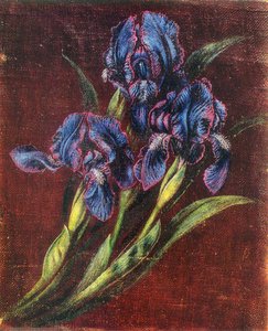 Irises — Kateryna Vasylivna Bilokur