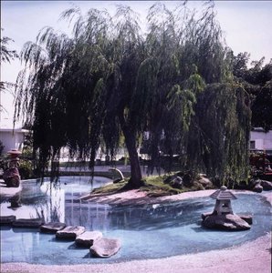 Ornamental Garden — Kenneth Mcgowan