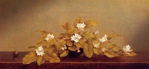 Trailing Arbutis — Martin Johnson Heade