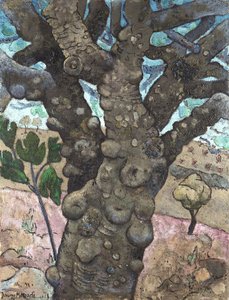 Fig Tree — Jaume Mercade Queralt