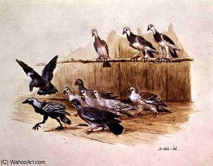 The Jackdaw And The Doves — Randolph Caldecott