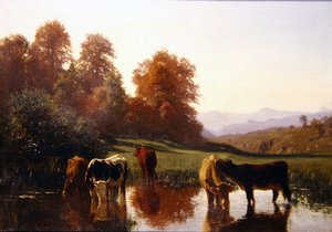 Cattle Watering
