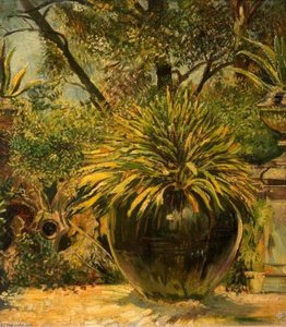 The Aloe Vera — Francis Ferdinand Maurice Cook
