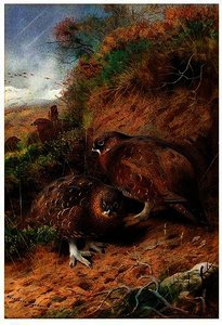 The Approach Of Winter — Archibald Thorburn