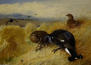 On The Stooks - Blackgame — Archibald Thorburn