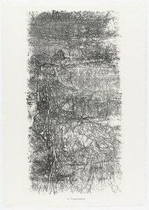Transmissions From The Portfolio Territories (territoires) From Phenomena (les Phénomènes) — Jean Philippe Arthur Dubuffet