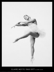Claire Motte — Samuel Henry Levin