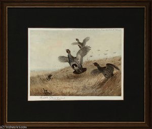 Partridge Taking Off; And Foraging Grouse — Archibald Thorburn