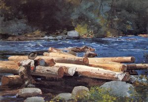 Hudson River — Winslow Homer
