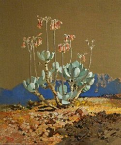 Cotyledon — Robert Gwelo Goodman