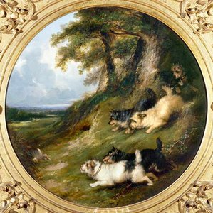 Terriers Rabbiting — George Armfield (smith)