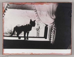 Untitled (cat On A Windowsill) — Joseph Cornell