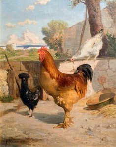 francois bocion