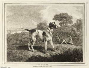 The British Sportsman