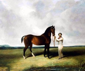 Portrait Of A Favourite Bay — Abraham Cooper