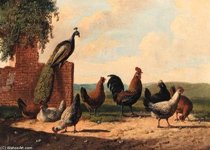 Rooster And Hen With Chicks; And Peacock, Rooster And Chickens By A Ruin — Albertus Verhoesen