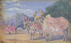 Decorated Oxen Drawing State Gun Carriages, Baroda — Marianne North