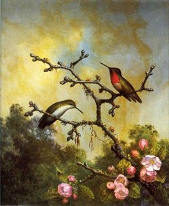 Ruby-throated Hummingbirds With Apple Blossoms — Martin Johnson Heade