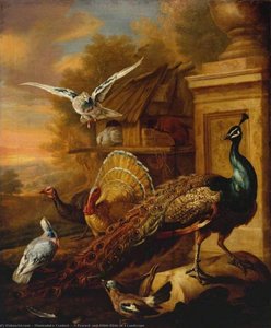 A Peacock And Other Birds In A Landscape — Marmaduke Cradock