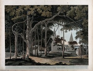 Banyan Tree With Hindu Temples — Thomas Daniell
