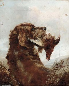 A Gun Dog With A Grouse — William Arnold Woodhouse