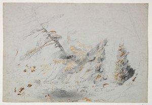 Trees Overhanging A Pool — Thomas Cole, Hudson River School