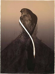 Hawk Iv, From The Series Acoma — Nathan Oliveira