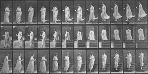 Woman Descending A Stairway And Turning Around, From The Book, Animal Locomotion — Eadweard J Muybridge