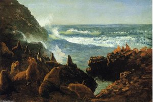 Sea Lions, Farallon Islands — Albert Bierstadt