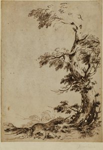Landscape With Tree In The Foreground — Guercino, Baroque