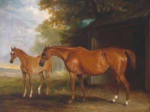 Defiance, A Brood Mare, With Reveller, A Foal — John Ferneley, Snr