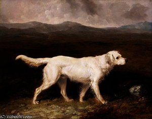 Charles Brett's White English Setter 'Sam'