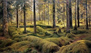 Forest Cemetery — Ivan Ivanovich Shishkin, Contemporary Realism