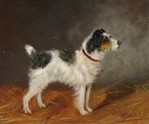 Terrier — George Earl