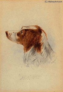 Study Of 'shot' — Edward Lear