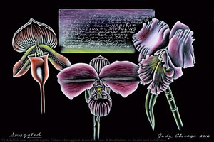 Smuggled, From The End: A Meditation On Death And Extinction — Judith Sylvia Cohen