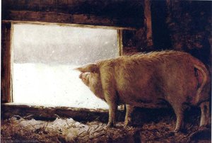 Winter Pig — Jamie Wyeth
