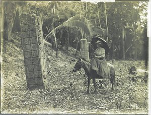 Photograph Of Quiriguá By A.p. Maudslay — Alfred Percival Maudslay