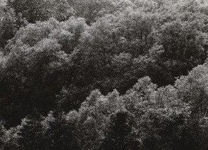 Detroit — Harry Callahan
