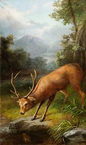 The Stag Looking Into The Water — John Bucknell Russell