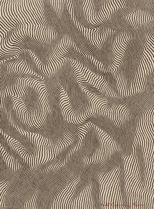 Nuee Blanc Noir — Henry Pearson