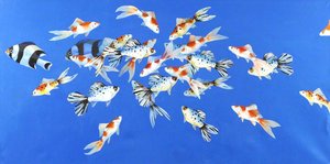 Tropical Fish 1 — Celia Wilkinson