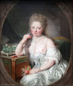 Young woman in a negligee