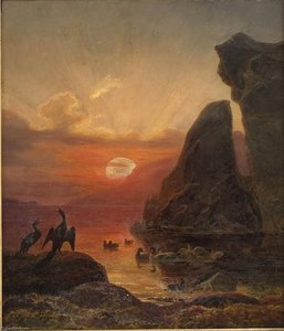 Norwegian Sjøfugler I Midnattsol Seabirds In The Midnight Sun — Frants Bøe
